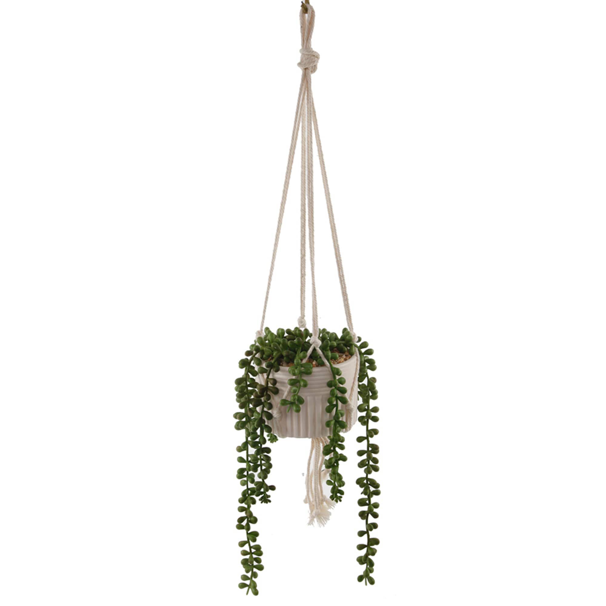 Flora Bunda® 5.5" String Of Pearls Macramé Hanging Ceramic Donkey Tails